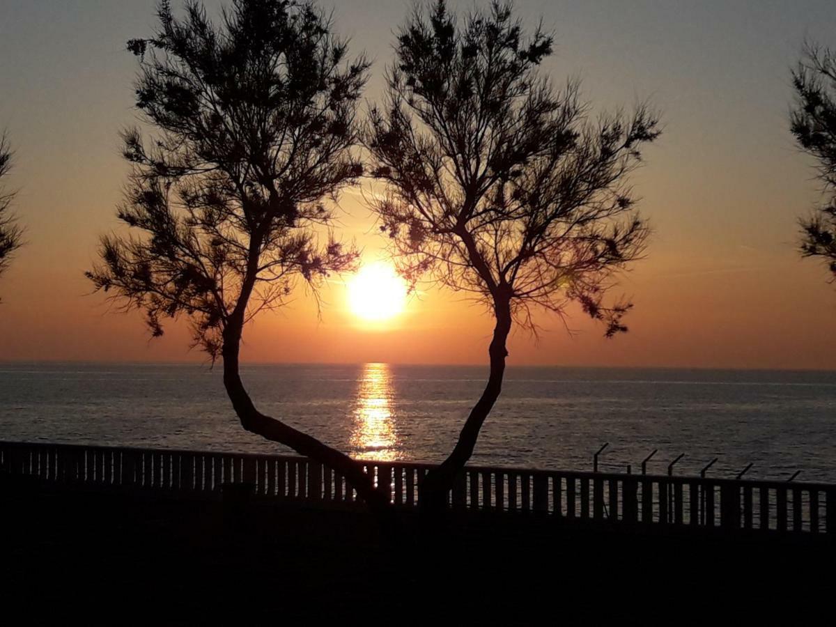 روزينيانو ماريتيمو Agriturismo Le Cerbonche المظهر الخارجي الصورة