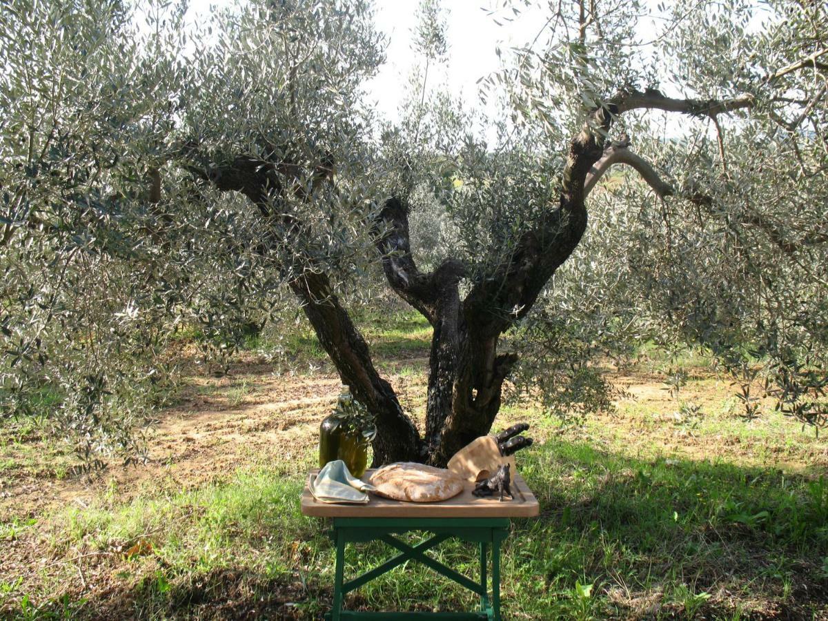 روزينيانو ماريتيمو Agriturismo Le Cerbonche المظهر الخارجي الصورة