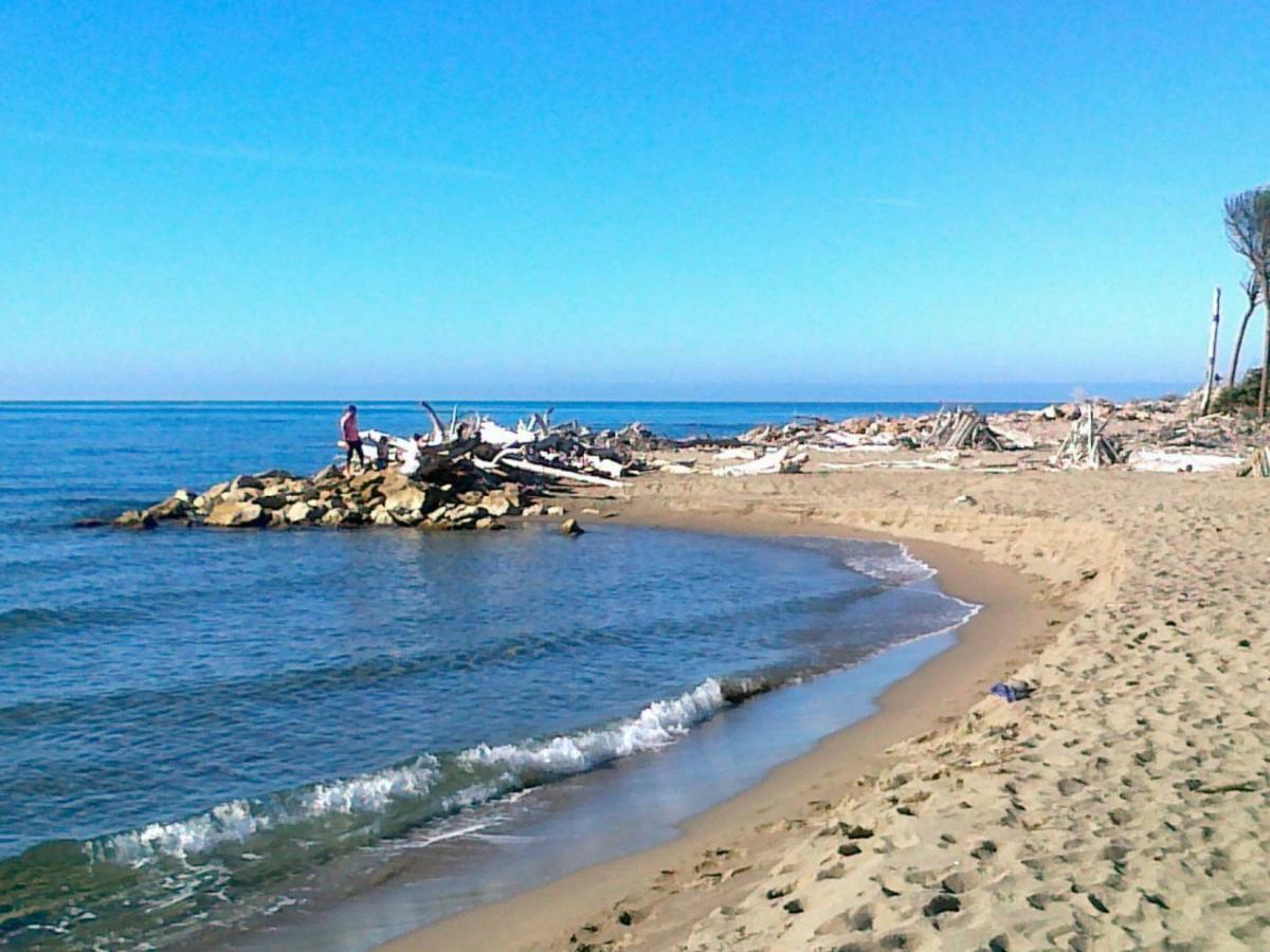 روزينيانو ماريتيمو Agriturismo Le Cerbonche المظهر الخارجي الصورة